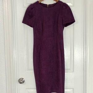Calvin Klein faux suede plum purple sheath dress size 6 tulip sleeves